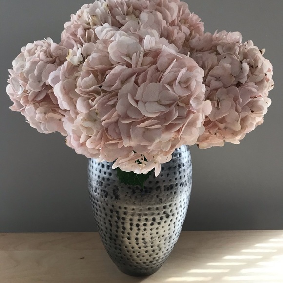 Sears Other - Hammered Vase Antiqued Silver